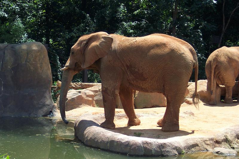 Columbia Zoo 04.jpg