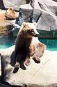 Columbia Zoo 01