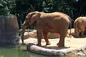 Columbia Zoo 04
