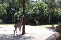 Columbia Zoo 08