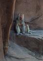 Columbia Zoo 12