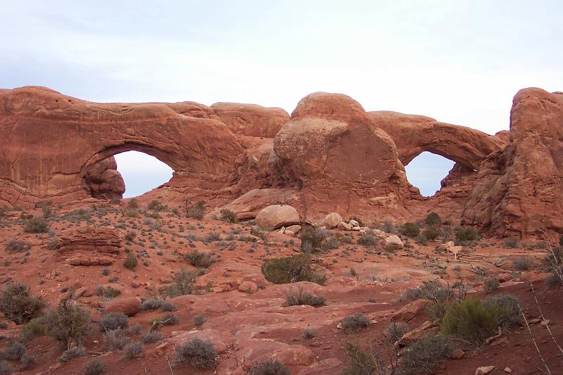 Arches - Windows 04.jpg