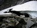 (09) Snow Caves