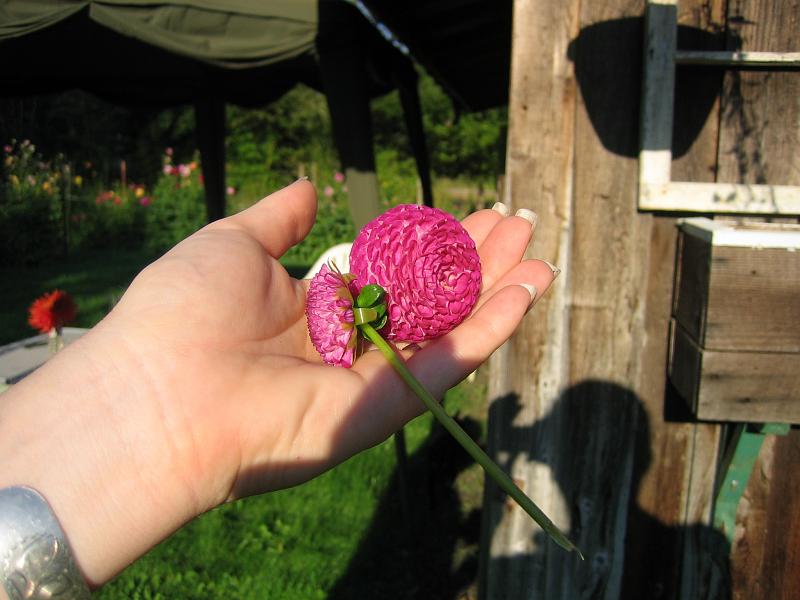 (11) Boutonniere Flower.jpg
