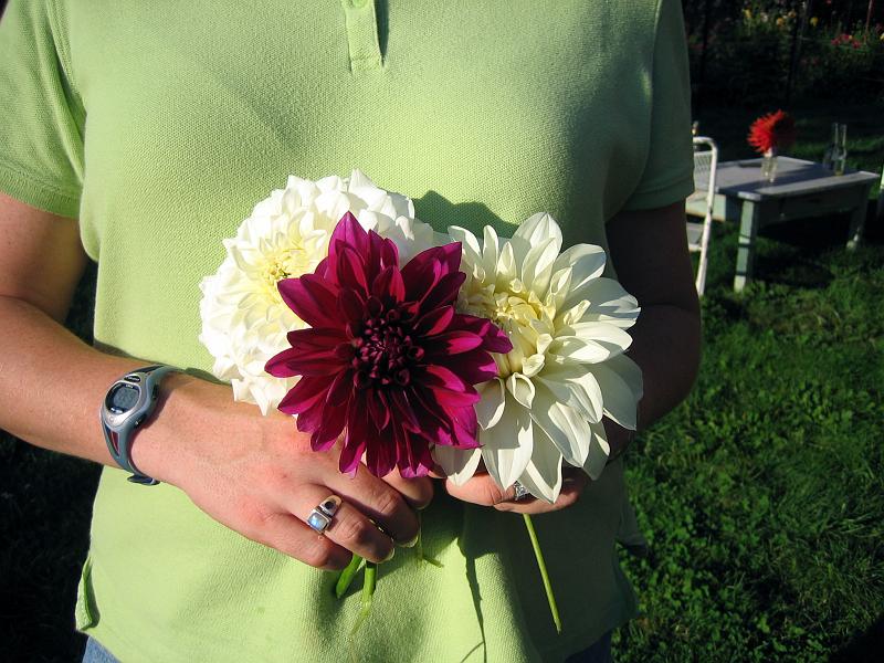 (12) Wedding Colors.jpg
