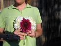 (13) Wedding Colors