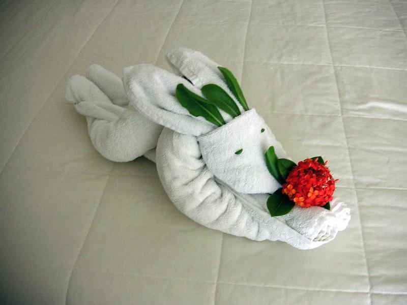 (11) Second Towel Creature.jpg - KONICA MINOLTA DIGITAL CAMERA