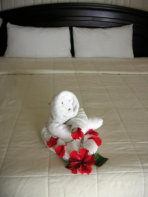 (33) Fourth Towel Creature.jpg - KONICA MINOLTA DIGITAL CAMERA