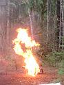 (23) Annihilating the TV