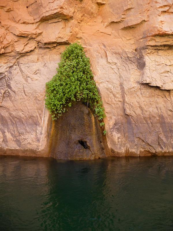 (081) Hanging Garden.jpg