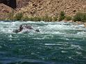 (009) Badger Creek Rapid