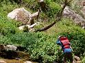 (065) Big Horn Sheep at Vasey´s Paradise