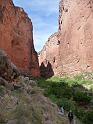 (103) Saddle Canyon