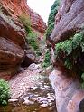 (105) Saddle Canyon