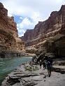 (260) Upstream from Havasu Creek