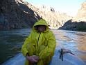 (329) Shad Ready for the Rapids