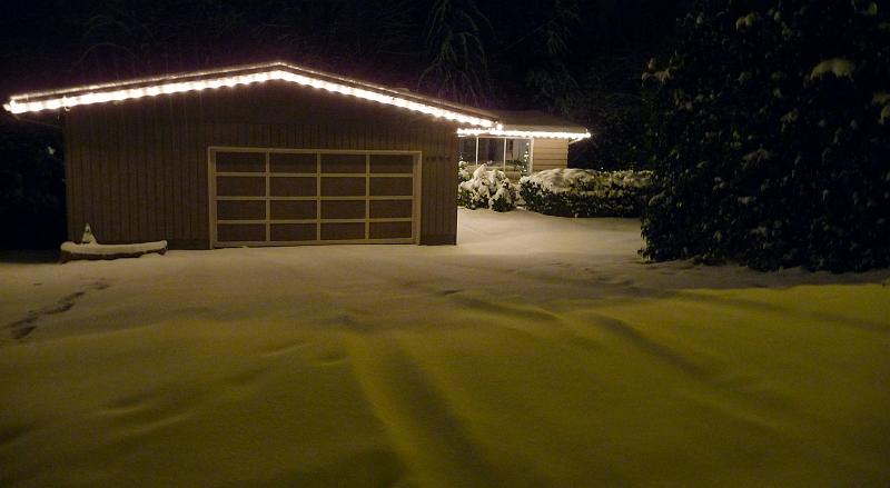 (22) Christmas Lights and Snow.jpg