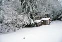 (25) Back Yard