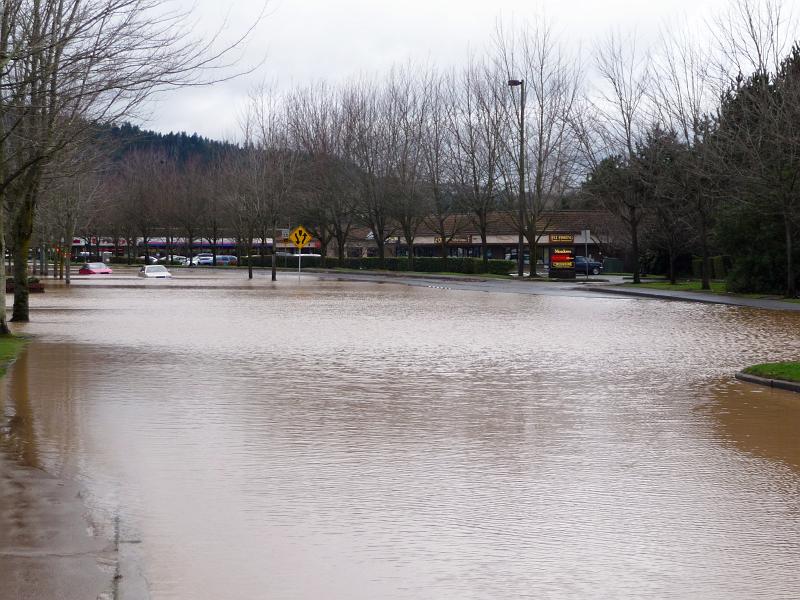 (05) Flooded Gilman Blvd.jpg