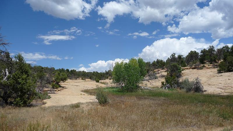 (081) Mesa Verde.jpg
