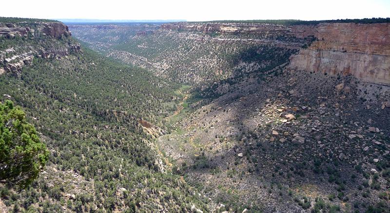 (082) Mesa Verde.jpg