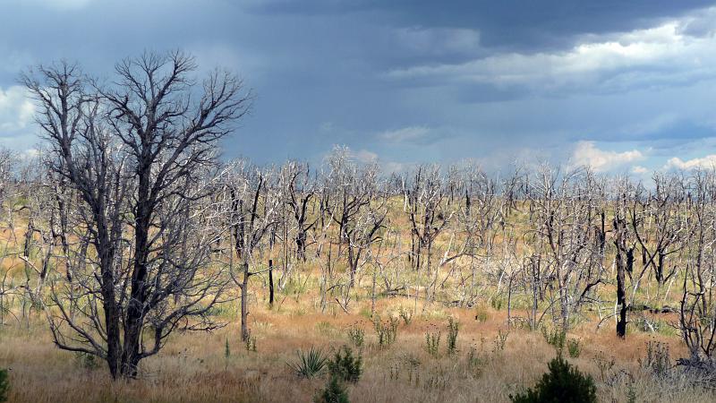 (096) Mesa Verde.jpg