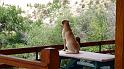 (004) Keeping Watch