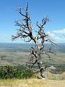 (068) Mesa Verde